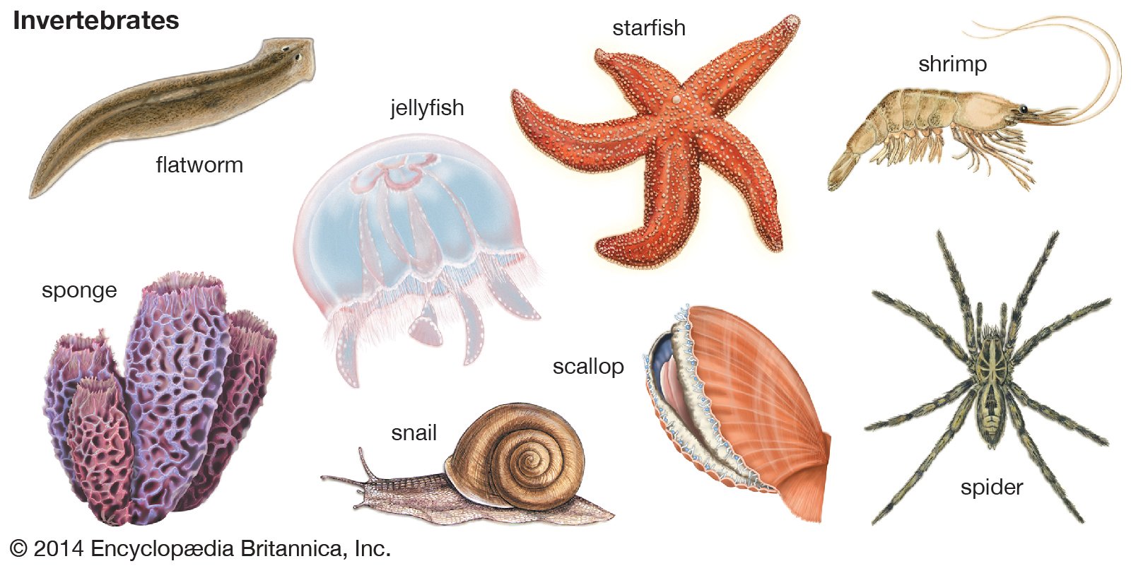 Hi. My name is... and I am a drawaholic.