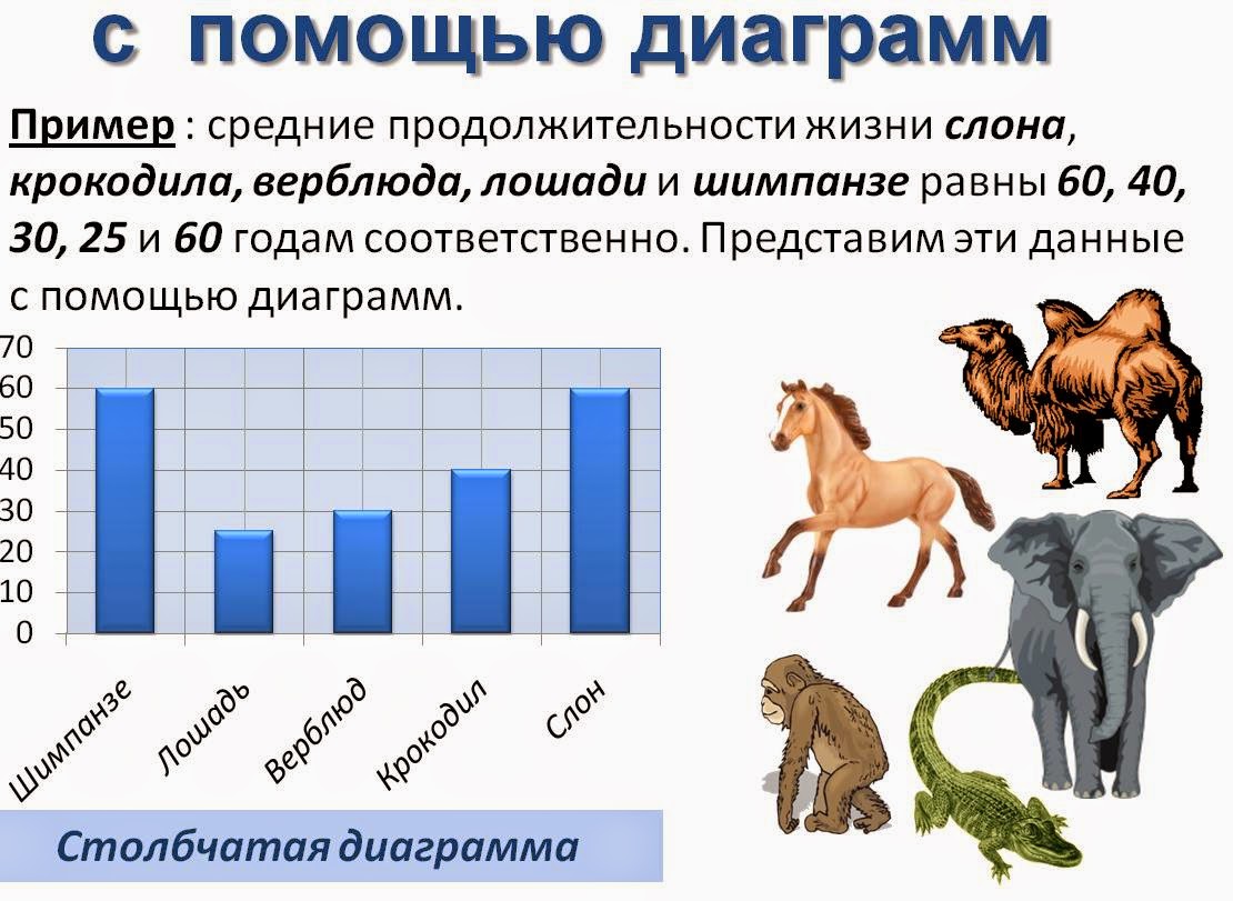 Продолжительность жизни зверей. Продолжительность жизни лошади. Продолжительность жизни лошадей в среднем. Наглядные формы представления. Срок жизни коня.