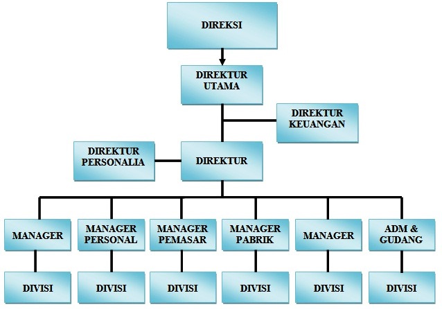 Struktur Organisasi Perusahaan Secara Umum dan Deskripsi 