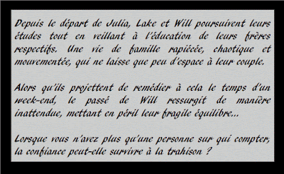 Slammed tome Point retreat, Incandescent Colleen Hoover