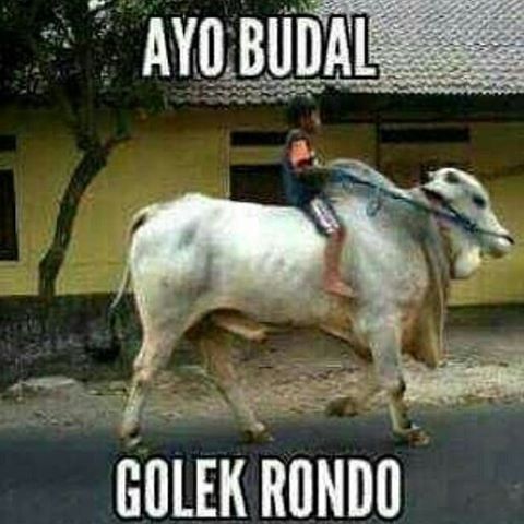 DP BBM Lucu bahasa Jawa 1
