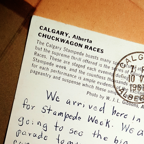 Vintage Calgary Stampede Postcard
