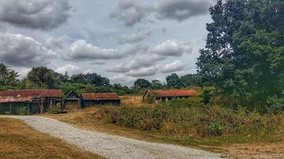Salt marsh