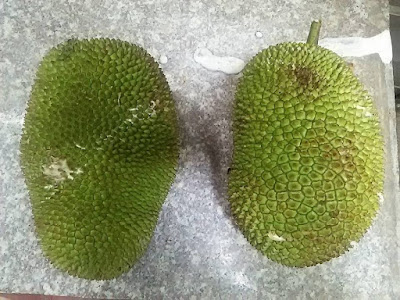 ジャックフルーツ ジャックフルーツ