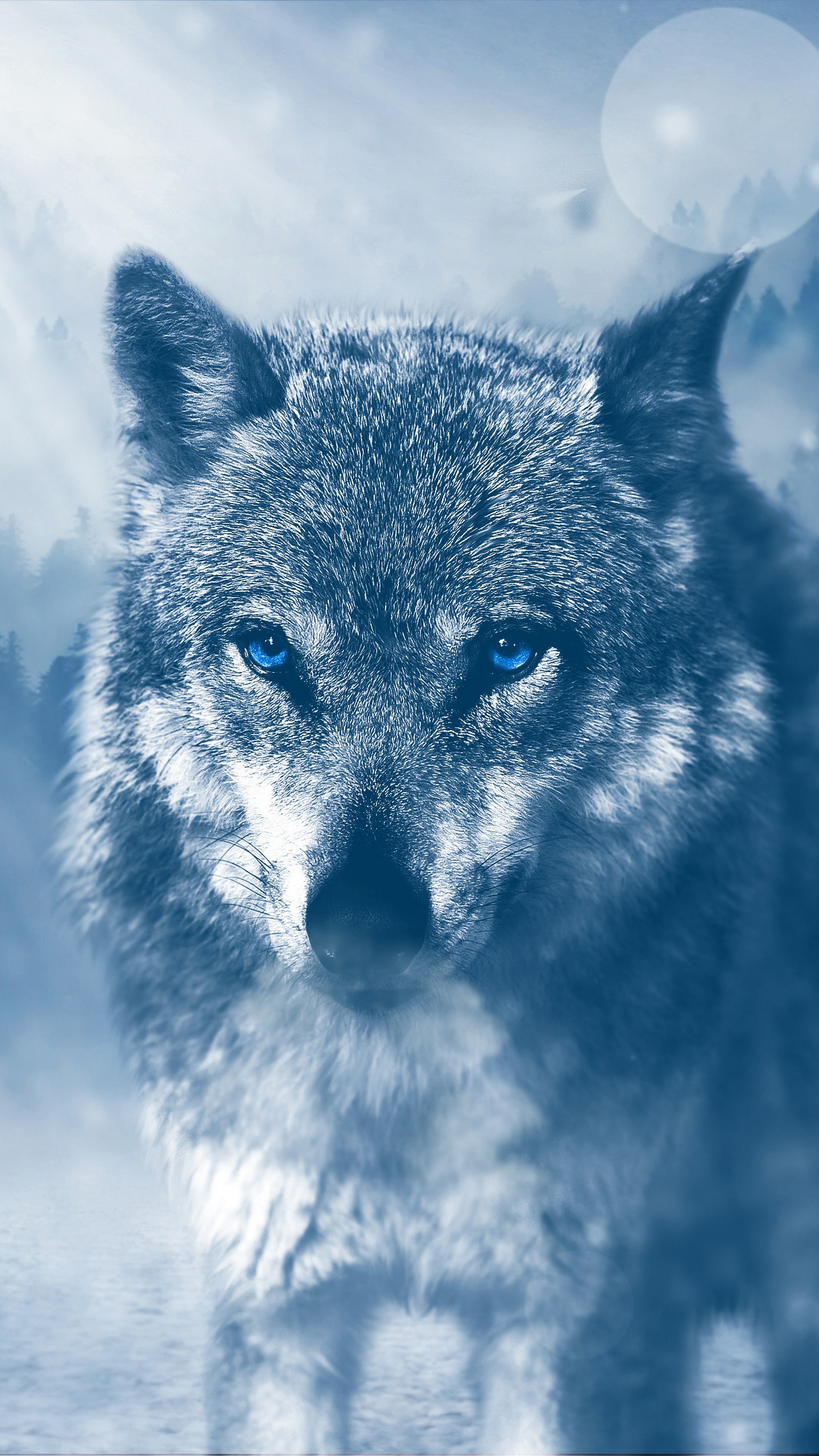 Wolf Iphone X Wallpaper 4K : Wolf Hd Wallpaper Iphone X - 640x1136 wolf ...