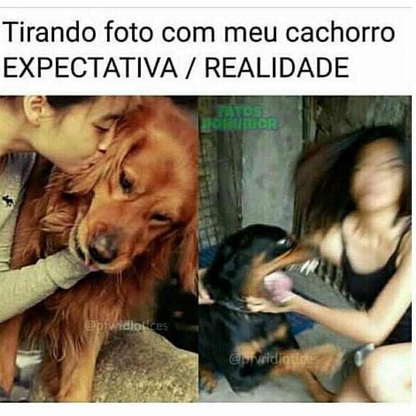 Memes engraçados Memes engraçados