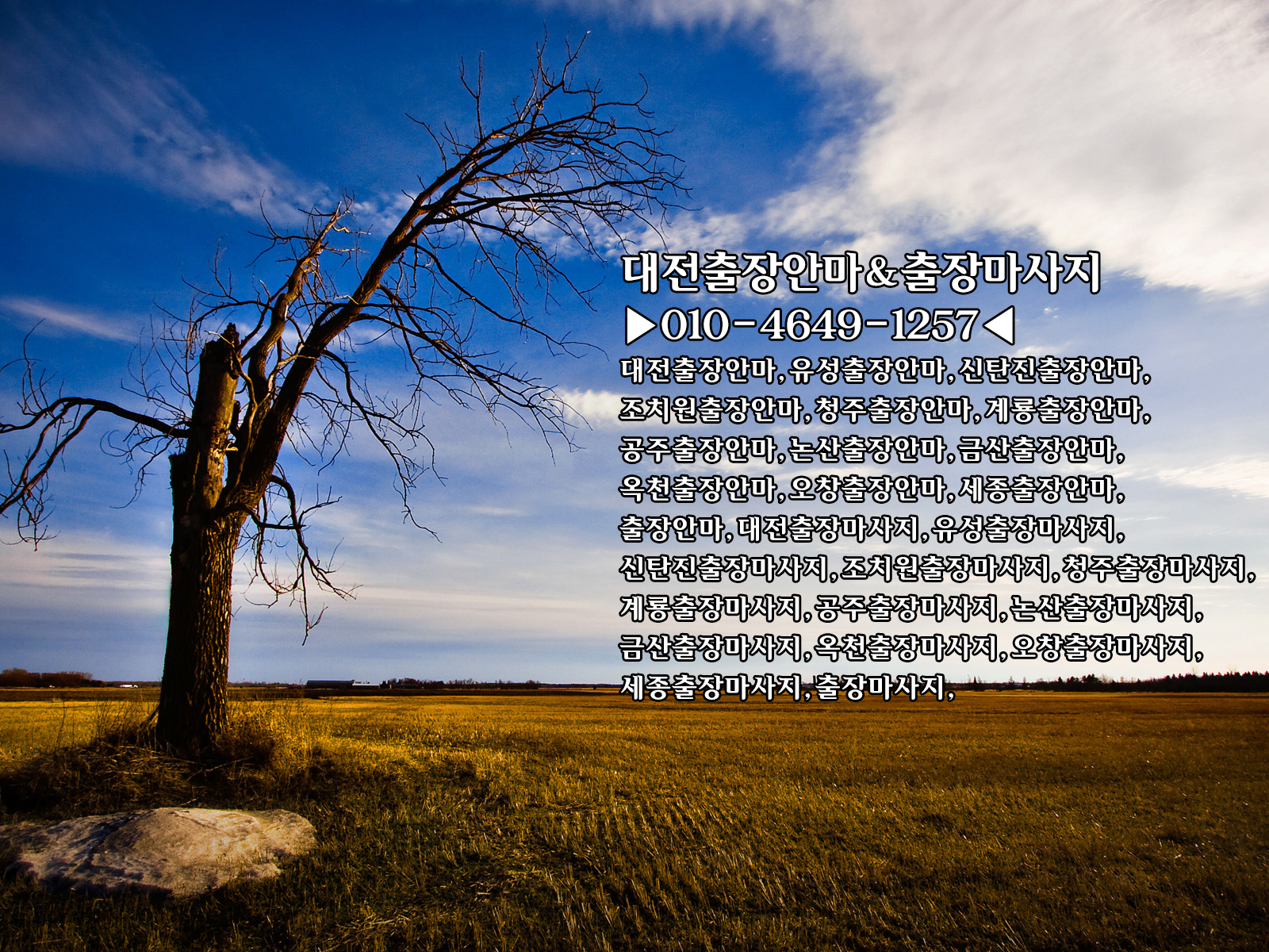 06.png
