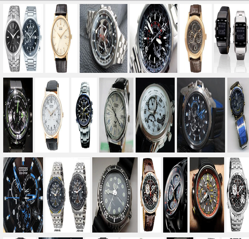 citizen Ashok Watch Company