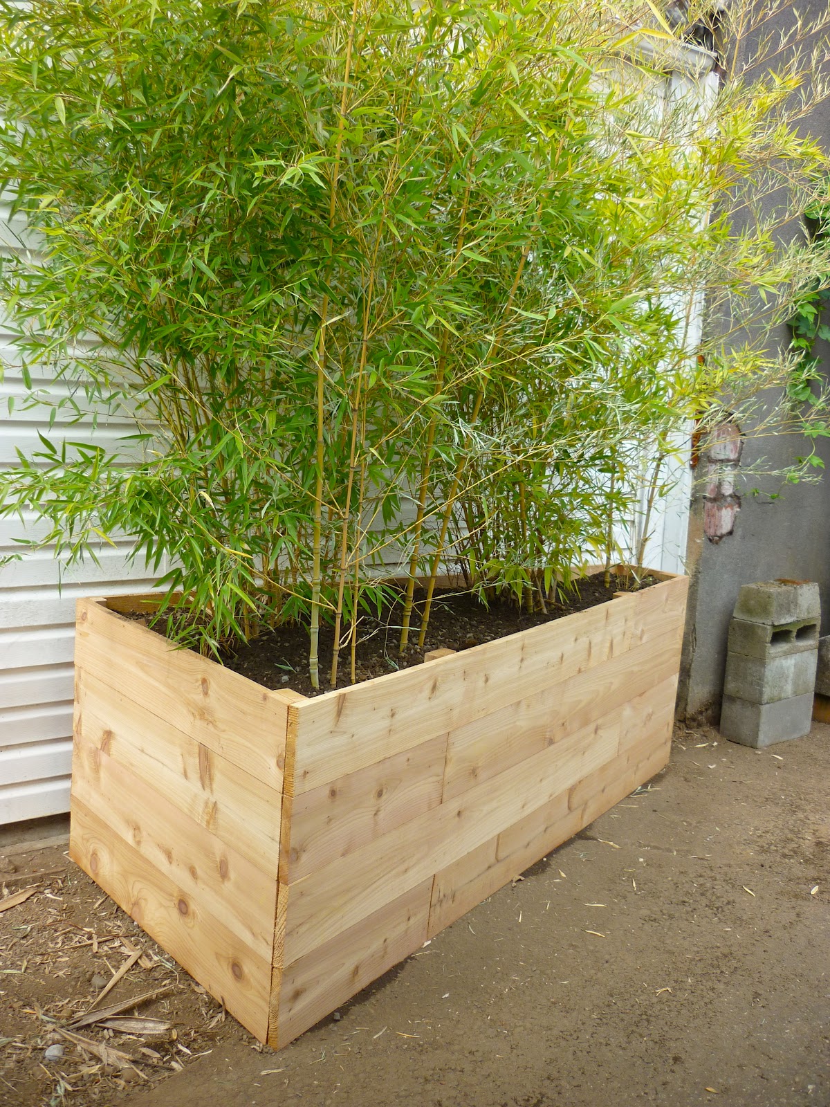 Bamboo Planters