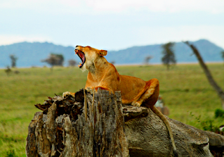 Seven Natural Wonders of Africa