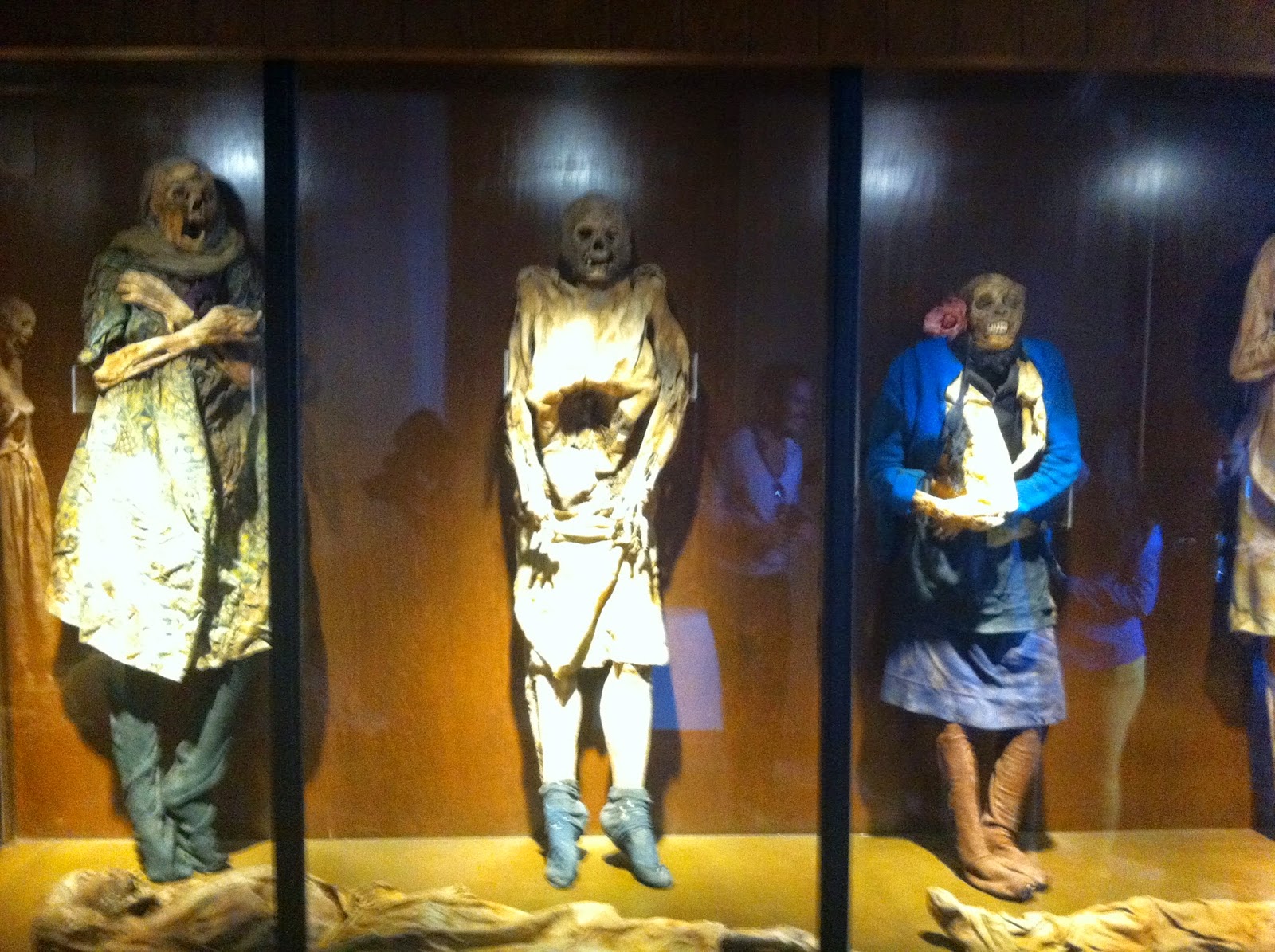 Turismo, Gastronomía y mas Museo de las momias en Celaya Guanajuato