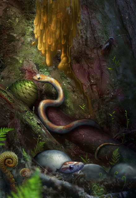 Baby snake preserved in amber is unprecedented find Baby snake preserved in amber is unprecedented find