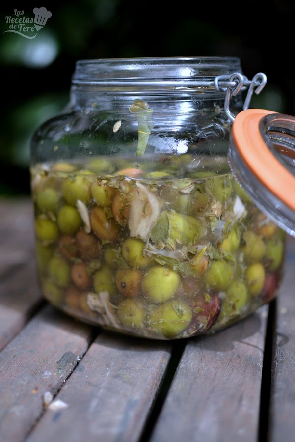 Aceitunas aliñadas caseras de pueblo tererecetas 06