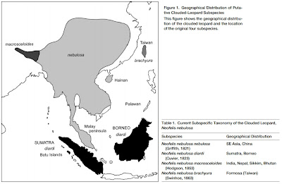 Species New to Science: [Mammalogy • 2006] Neofelis diardi (G. Cuvier