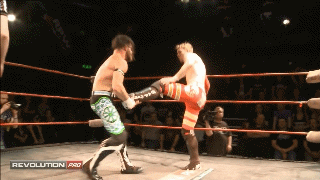 [IMAGE:https://4.bp.blogspot.com/-ZtqsCCIdARk/Vhfn9-_5i3I/AAAAAAAAmA0/QA7OUK-SeCw/s1600/Enzuigiri%2BKick.gif]