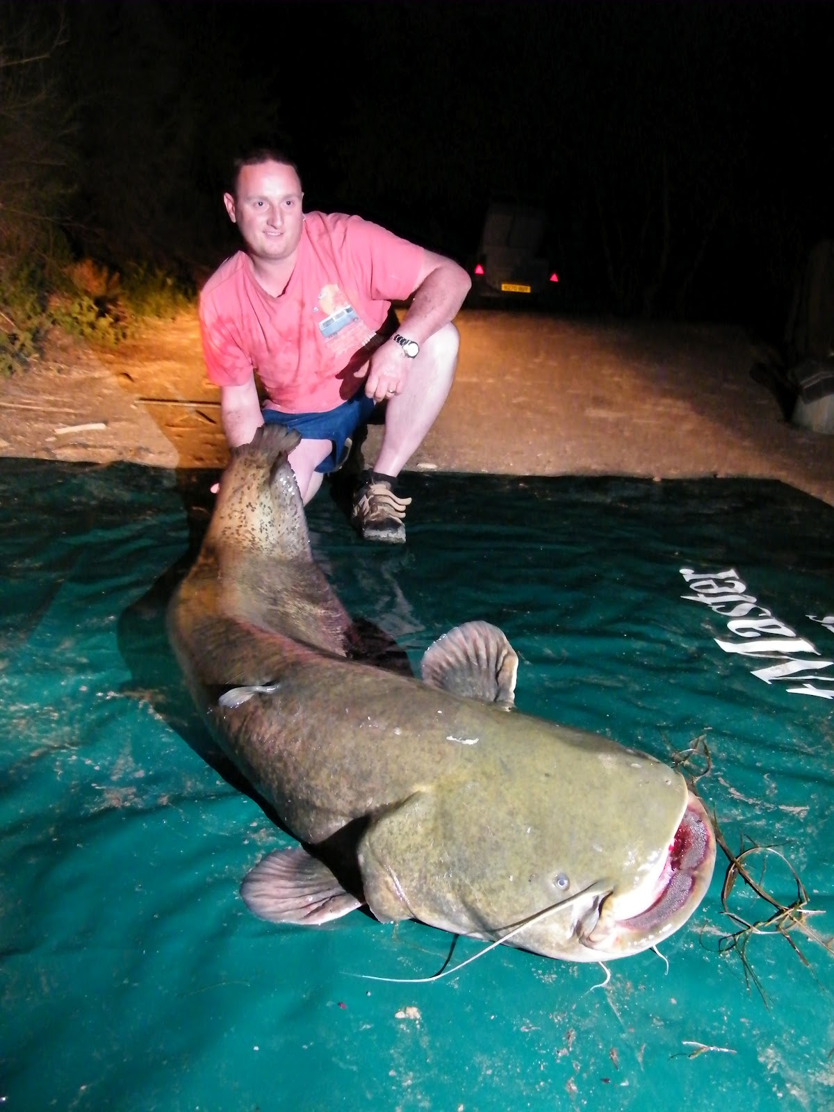 Joe Chatterton's Angling Diary Spanish Catfishing with Catmaster tours