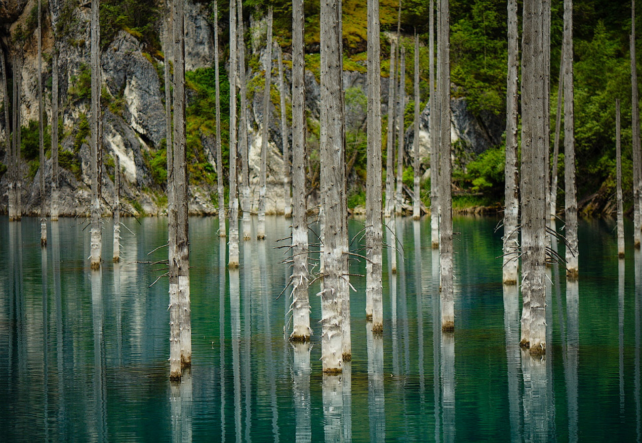 Лес затопленный водой. Озеро Каинды. Лес озера Каинды, Казахстан. Затонувший лес озера Каинды Казахстан. Подводный лес в озере Каинды.