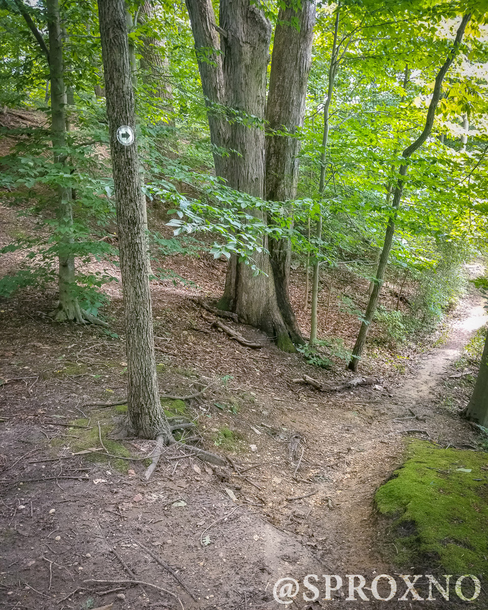 Woods of Wenonah Trail Pushing Myself