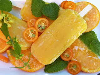 Une glace fruitée à faire soi-même