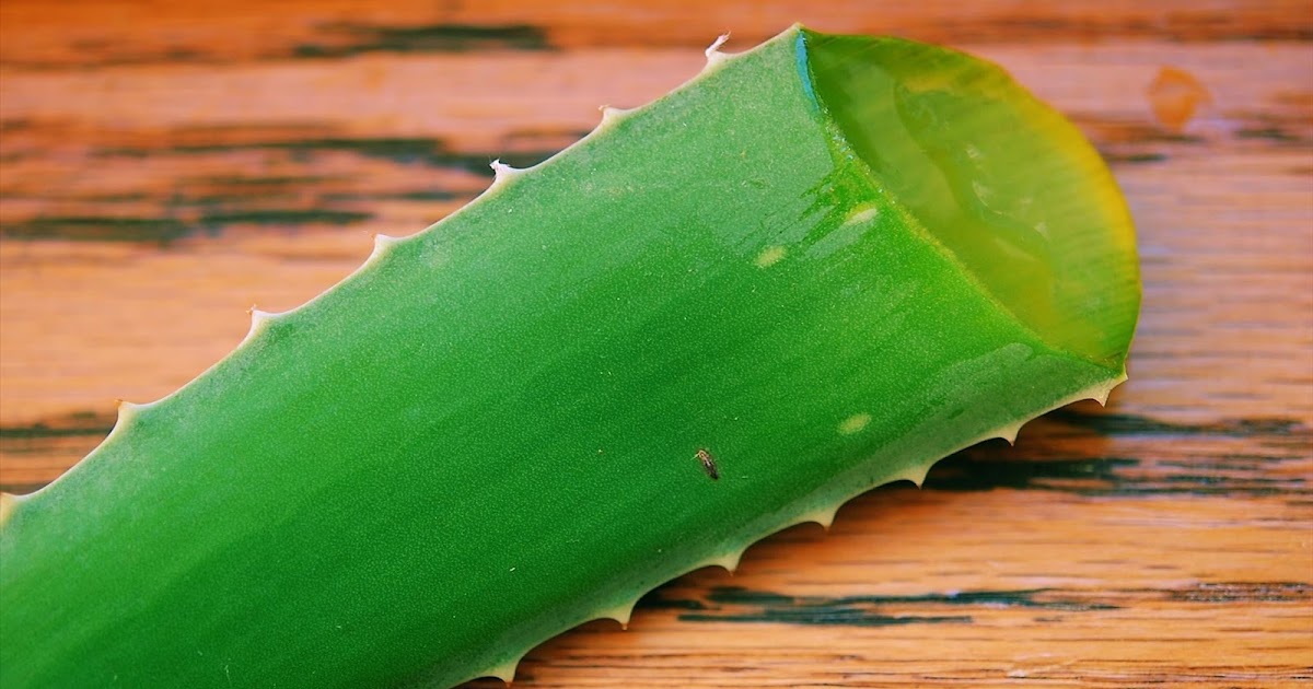 home remedies for after shave rashes?