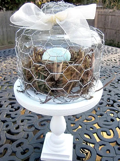 Glass cloche with chicken wire, bow and nest inside