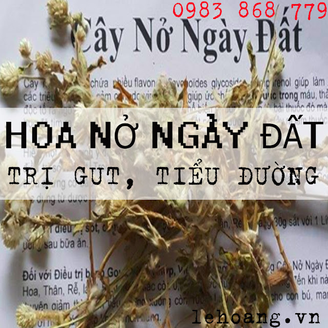 cây nở ngày đất cây nở ngày đất