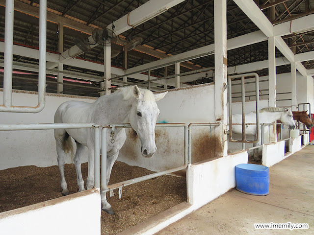 Putrajaya Equestrian Park
