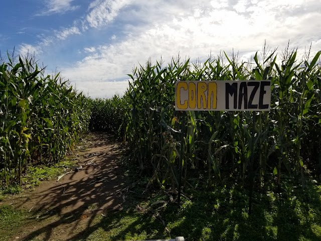 Facing the challenge at The Burch Barn's Corn Maze. Image courtesy of  That Was A First.