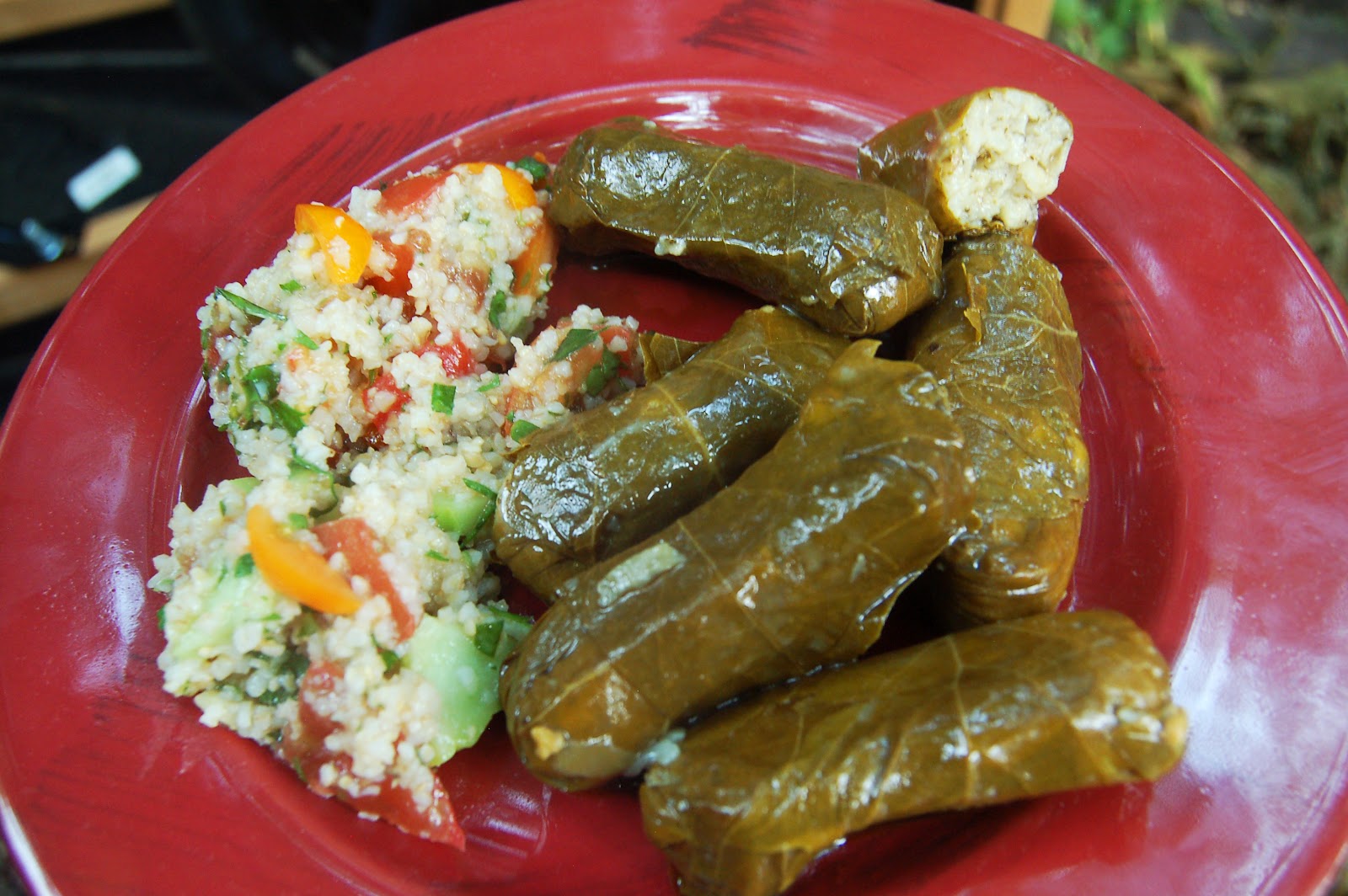 The Spice Island Holy Dolmas!