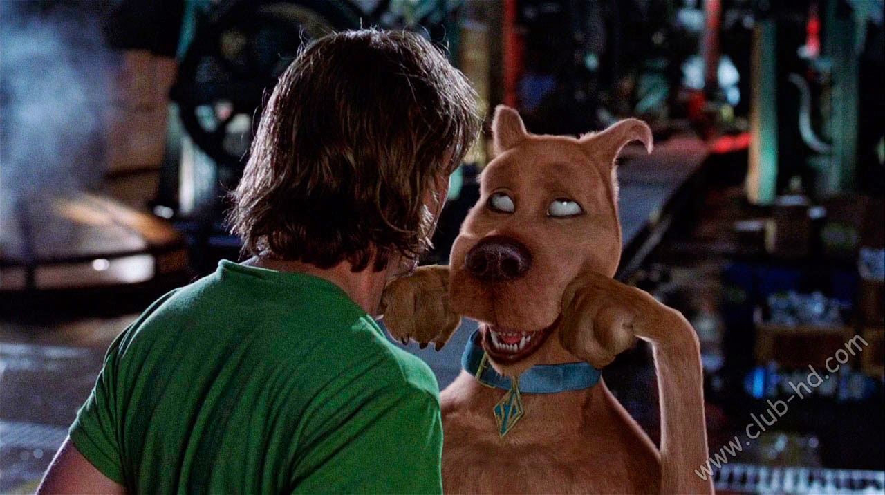 Scooby_Doo_CAPTURA-1.jpg