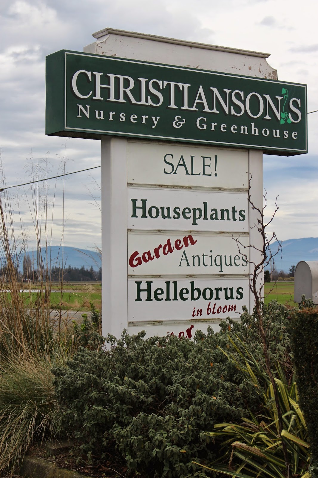Rooted In Thyme Christianson's Nursery in Mt. Vernon, Washington and Simple & Sweet Fridays 157