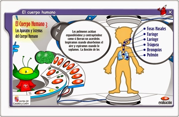 "El cuerpo humano" (Juego de Ciencias Naturales de Primaria)