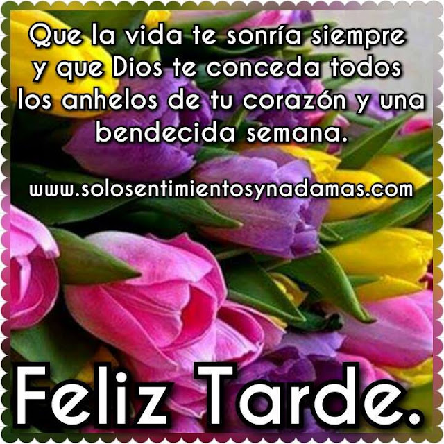 Feliz tarde.