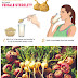 Maca Natural Hormonal Balancer