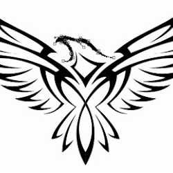 Gambar Burung Rajawali Hitam Putih Blog Tentang Burung