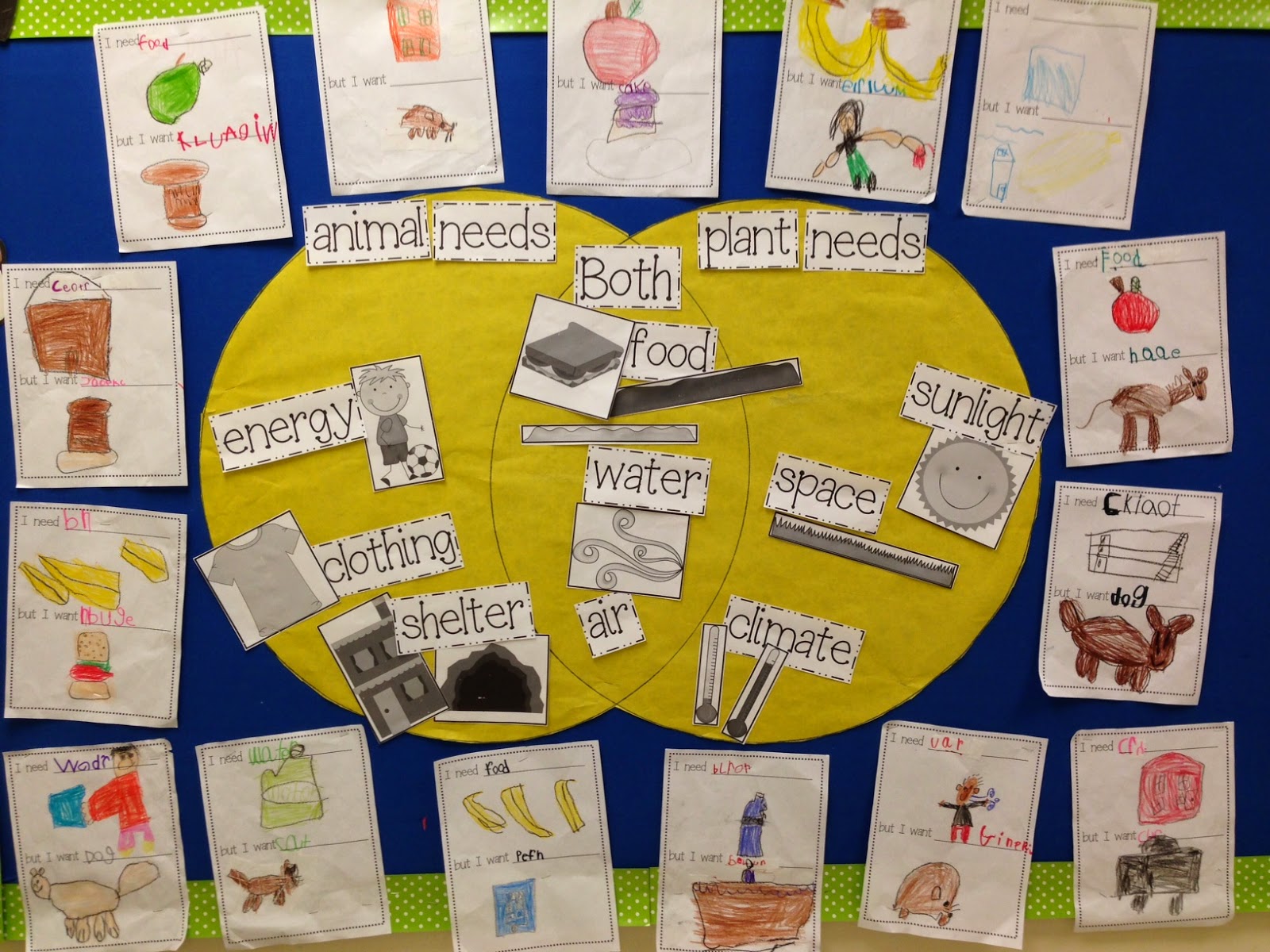 Basic Needs | Chalk Talk: A Kindergarten Blog | Bloglovin’