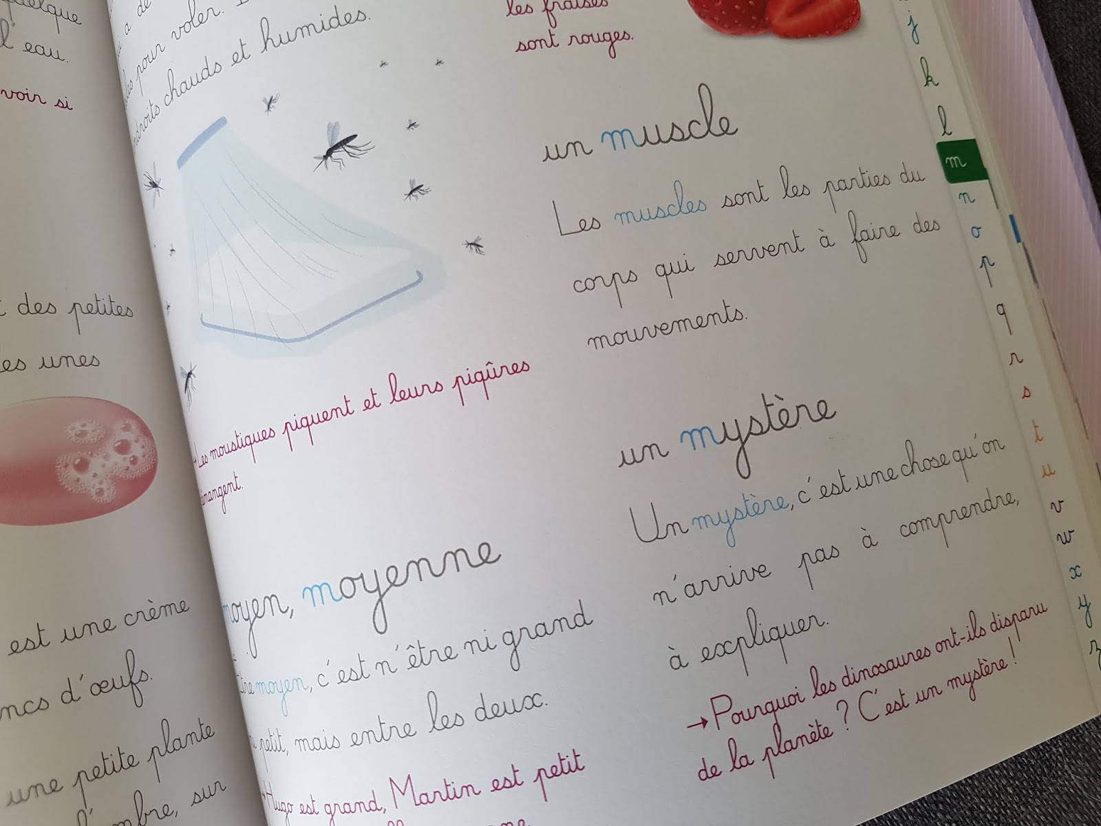 Sous Le Feuillage Mon Premier Dictionnaire Montessori Chez Larousse