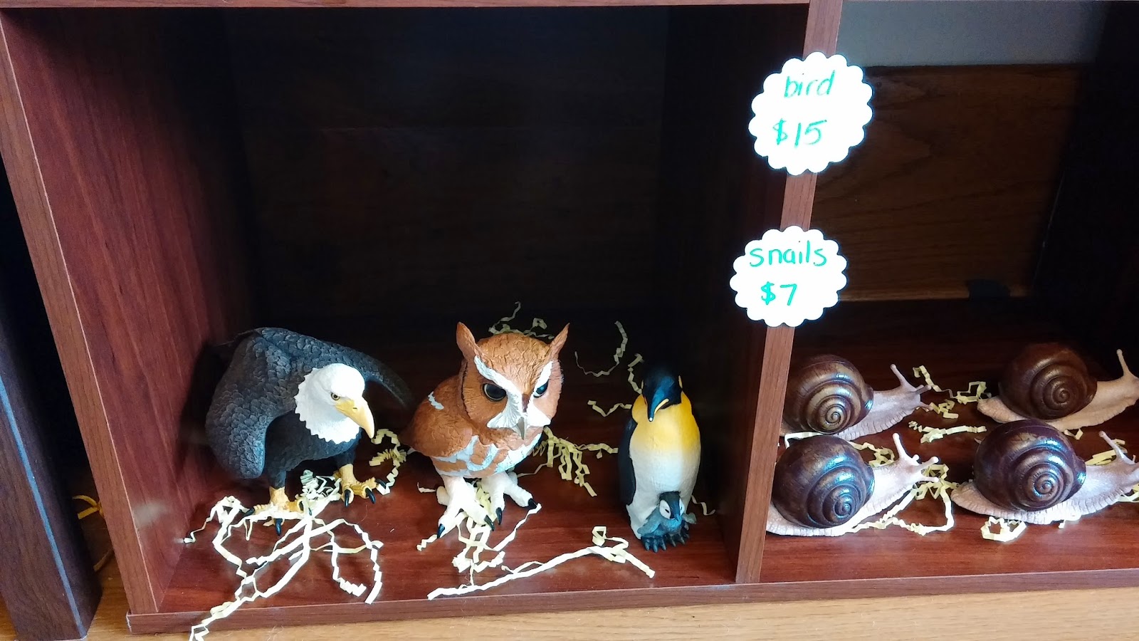 Whimsical Ways Pigeon's Pet Shop Grand Opening