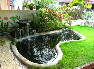 model kolam ikan hias minimalis model kolam ikan hias minimalis