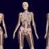 Scientists Reveal What Cannabis Does For The Bones