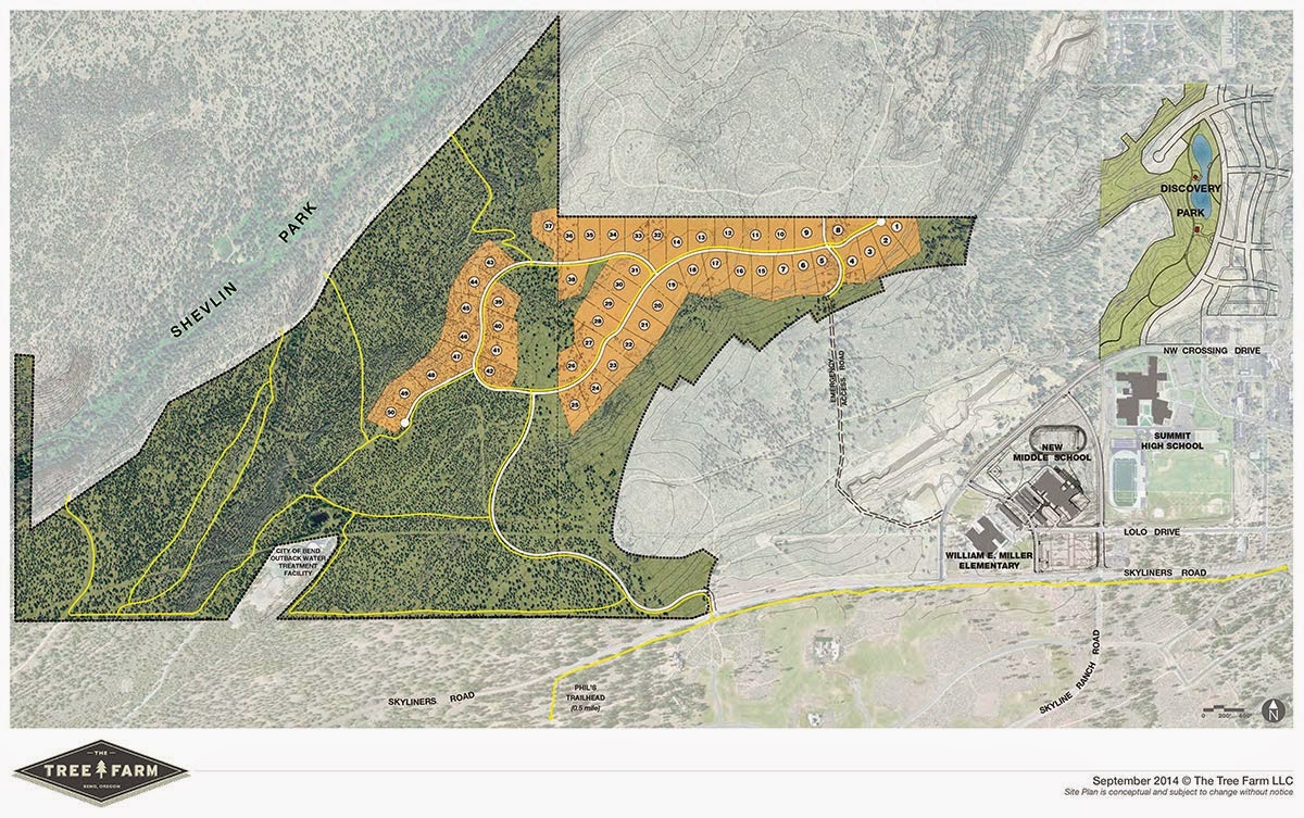 Focus on Bend The Tree Farm unites veteran developerscould be on