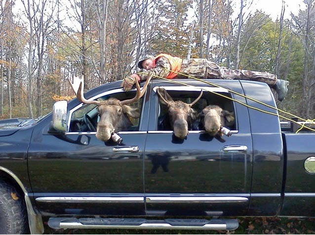 Moose hunter kill picture