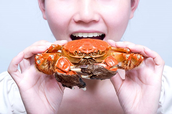 kepiting untuk ibu hamil kepiting untuk ibu hamil