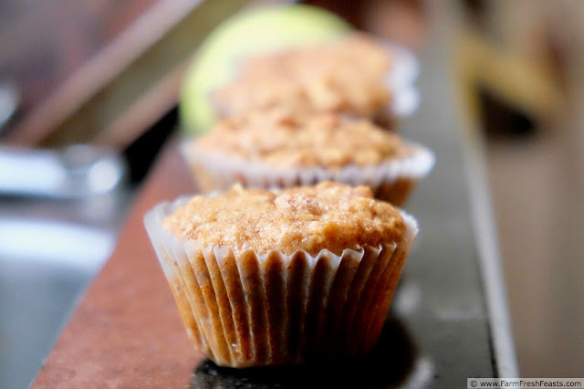photo of apple cinnamon muffins