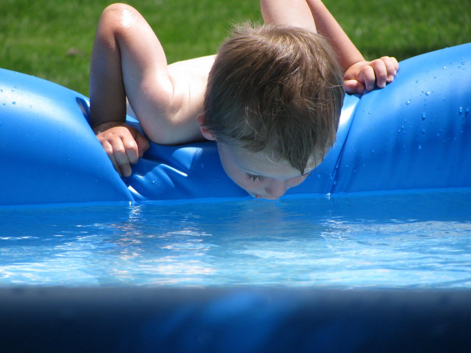 Larry and Sheryl Fowler�s Fabulous Family Grandkids pool