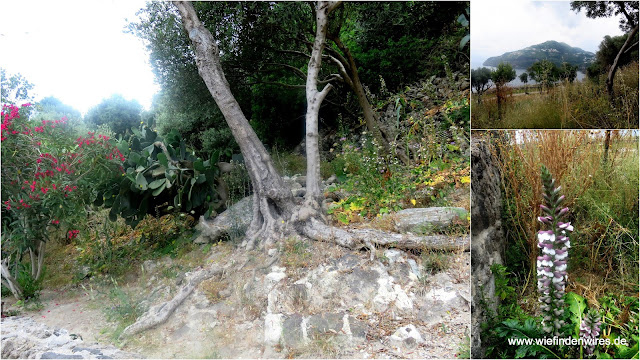 wandern ischia - castello aragonese ischia reisebericht