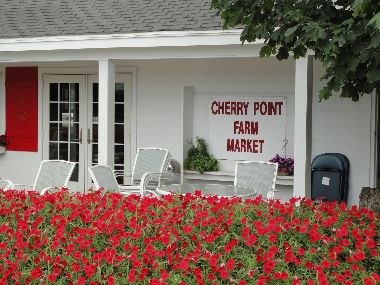 Mi Local Foodbeet Cherry Point Farm and Market
