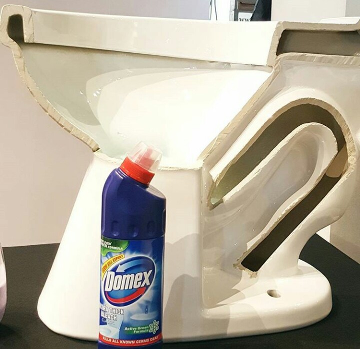 Purple Plum Fairy Domex keeps our family safe from diseases by being