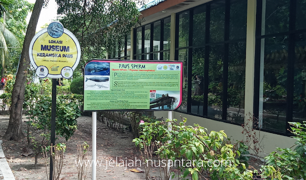 Museum Kerangka Paus di Pulau Tidung Kecil - Paket open trip 2 hari 1 malam paket wisata open trip private trip pulau tidung murah 2 hari 1 malam