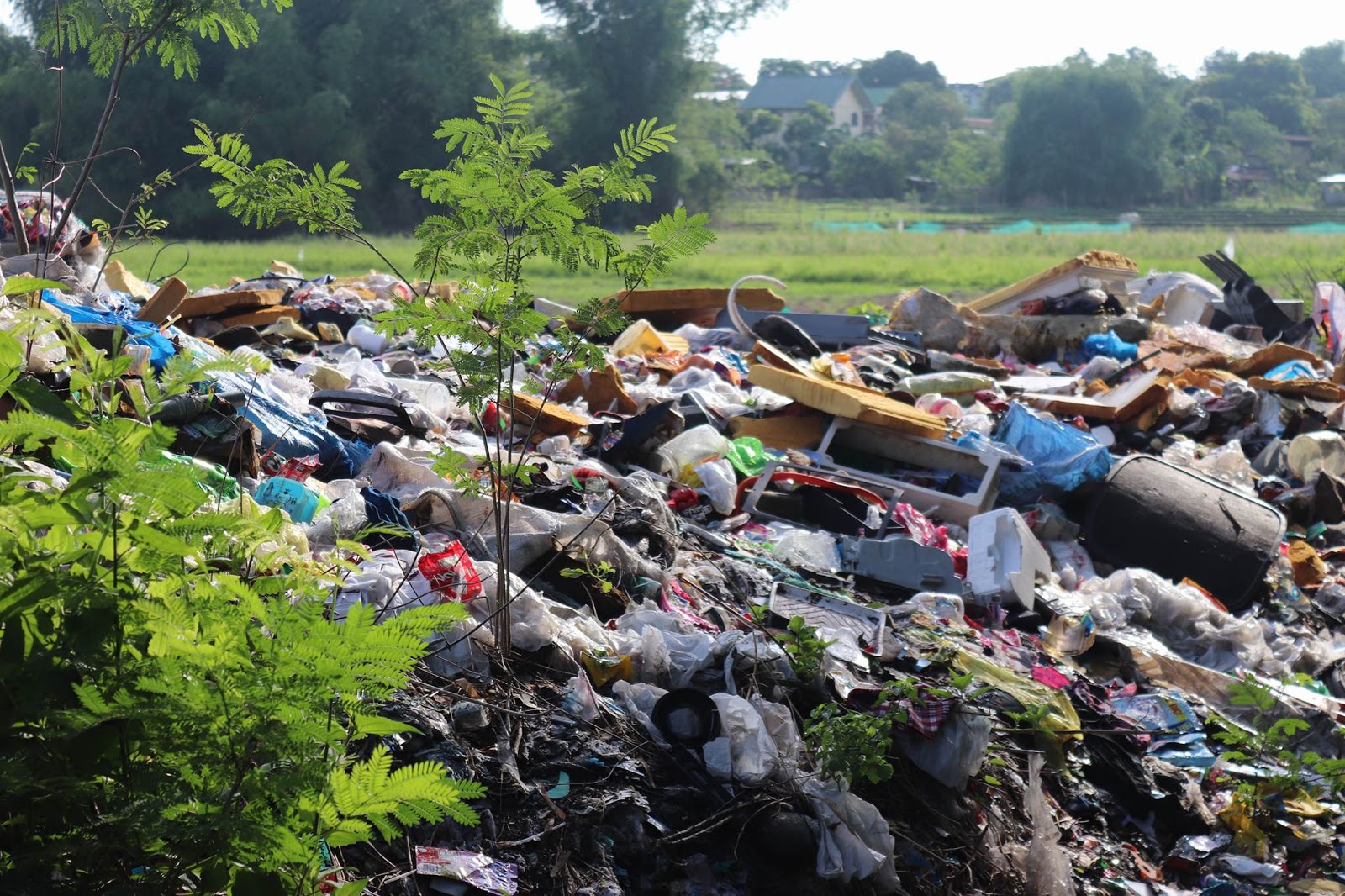 EcoWaste Coalition Backs Closure of Open Dump in Mapandan, Pangasinan